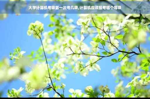 大学计算机考级第一次考几级,计算机应该报考哪个等级