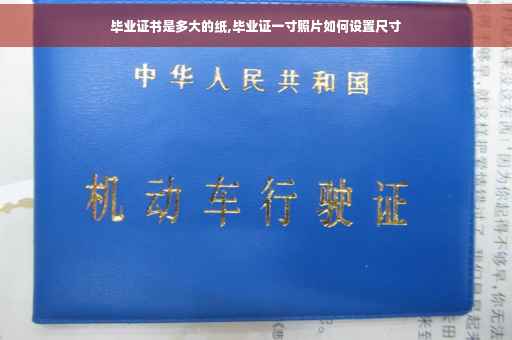 毕业证书是多大的纸,毕业证一寸照片如何设置尺寸