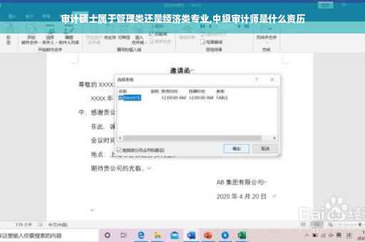 审计硕士属于管理类还是经济类专业,中级审计师是什么资历