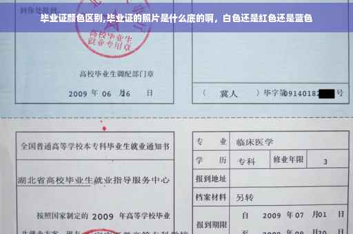 毕业证颜色区别,毕业证的照片是什么底的啊，白色还是红色还是蓝色