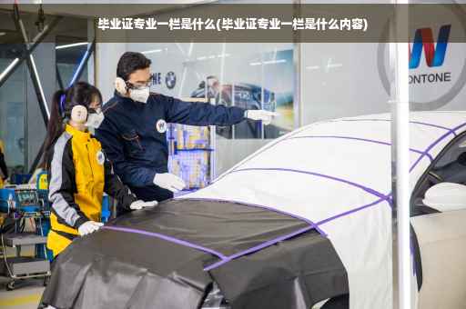 毕业证专业一栏是什么(毕业证专业一栏是什么内容)