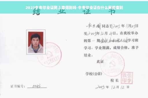 2023中专毕业证网上查得到吗-中专毕业证在什么网能查到