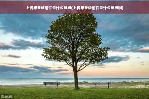 上传毕业证附件是什么意思(上传毕业证附件是什么意思啊)