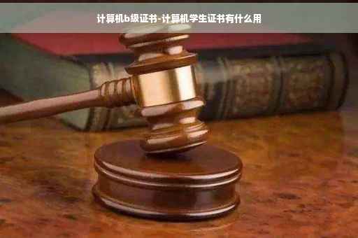 计算机b级证书-计算机学生证书有什么用
