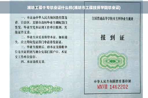 潍坊工程中专毕业证什么样(潍坊市工程技师学院毕业证)