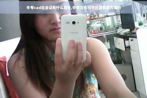 中专cad毕业证有什么用处,中专文化可学计算机哪方面的