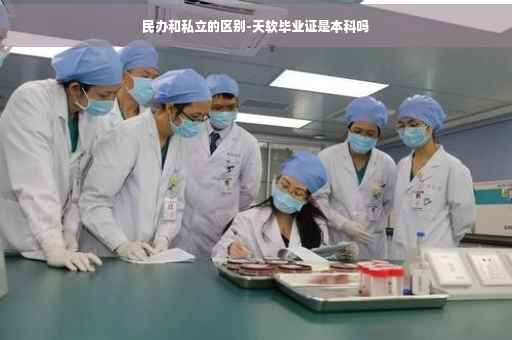 民办和私立的区别-天软毕业证是本科吗