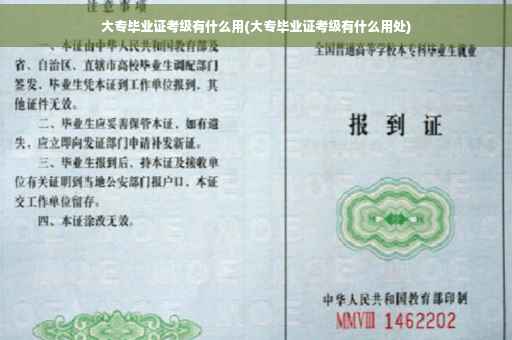 大专毕业证考级有什么用(大专毕业证考级有什么用处)