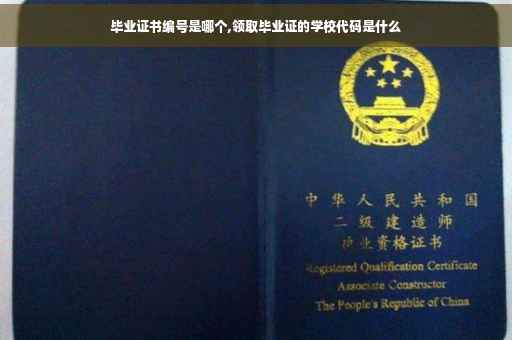 毕业证书编号是哪个,领取毕业证的学校代码是什么