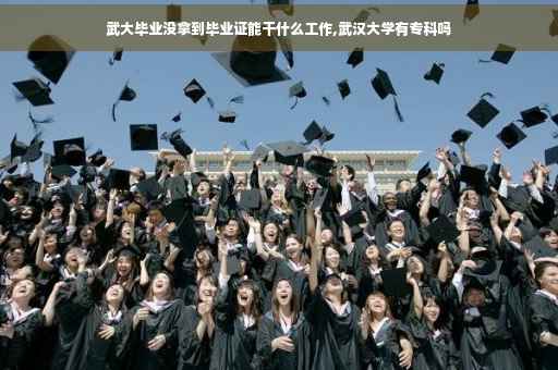 武大毕业没拿到毕业证能干什么工作,武汉大学有专科吗