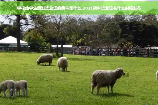 学校给学生颁发毕业证的条件是什么,2021初中毕业证书什么时候发布