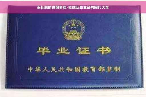王仕鹏的详细资料-篮球队毕业证书图片大全