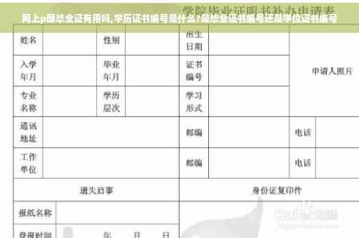 网上p图毕业证有用吗,学历证书编号是什么?是毕业证书编号还是学位证书编号