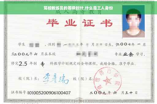 驾校教练员的等级划分,什么是工人身份
