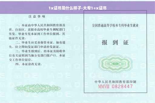 1x证书是什么样子-大专1+x证书
