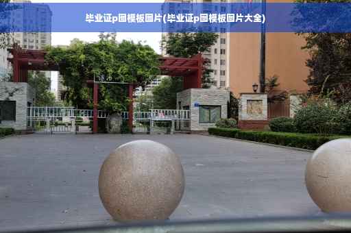 毕业证p图模板图片(毕业证p图模板图片大全)