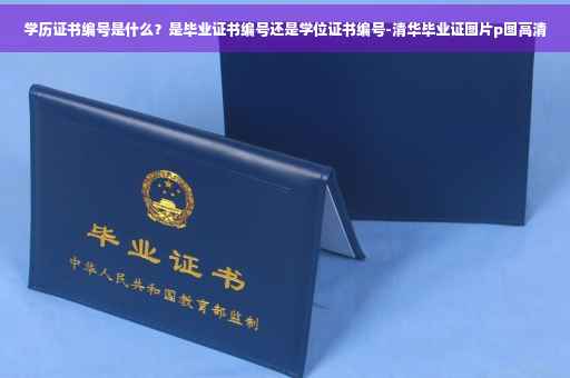 学历证书编号是什么？是毕业证书编号还是学位证书编号-清华毕业证图片p图高清