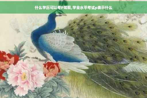 什么学历可以考P驾照,学业水平考试p表示什么