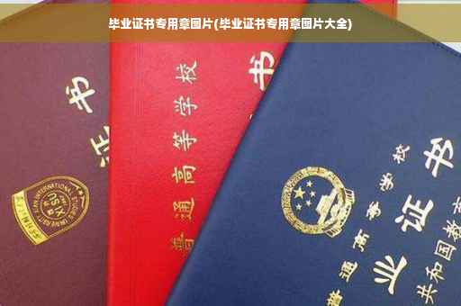 毕业证书专用章图片(毕业证书专用章图片大全)