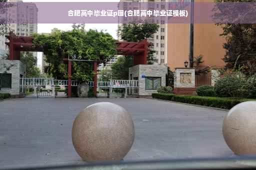 合肥高中毕业证p图(合肥高中毕业证模板)