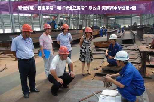 有谁知道“省编学号”和“毕业正编号”怎么填-河南高中毕业证P图