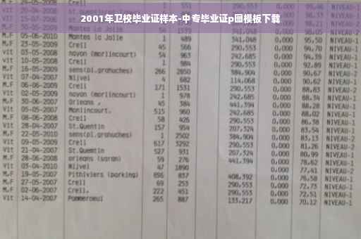 2001年卫校毕业证样本-中专毕业证p图模板下载