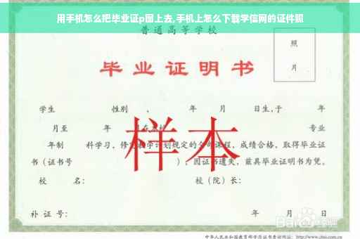 用手机怎么把毕业证p图上去,手机上怎么下载学信网的证件照