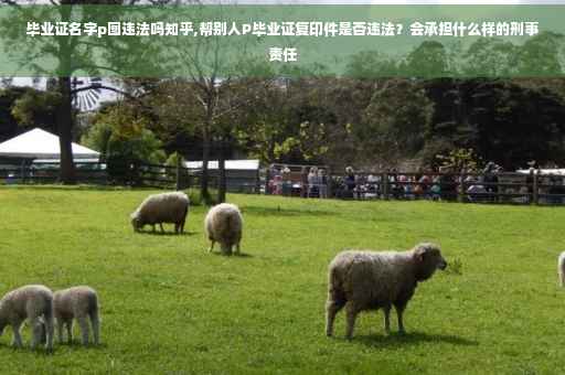 毕业证名字p图违法吗知乎,帮别人P毕业证复印件是否违法？会承担什么样的刑事责任