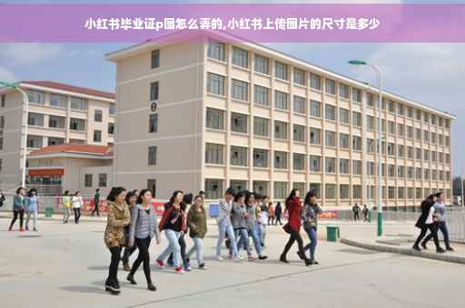 小红书毕业证p图怎么弄的,小红书上传图片的尺寸是多少