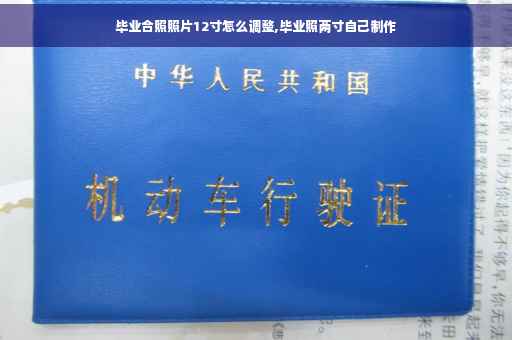 毕业合照照片12寸怎么调整,毕业照两寸自己制作