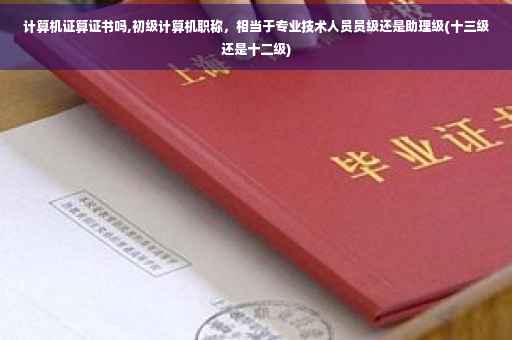计算机证算证书吗,初级计算机职称，相当于专业技术人员员级还是助理级(十三级还是十二级)