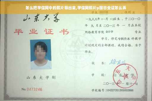 怎么把学信网中的照片导出来,学信网照片p图毕业证怎么弄