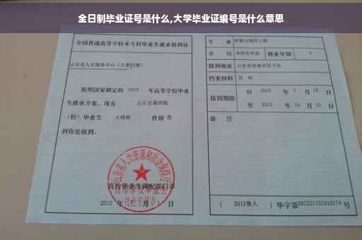 全日制毕业证号是什么,大学毕业证编号是什么意思