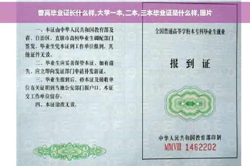 普高毕业证长什么样,大学一本,二本,三本毕业证是什么样,图片