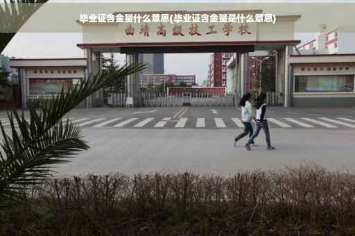毕业证含金量什么意思(毕业证含金量是什么意思)