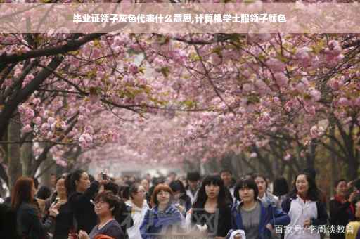 毕业证领子灰色代表什么意思,计算机学士服领子颜色