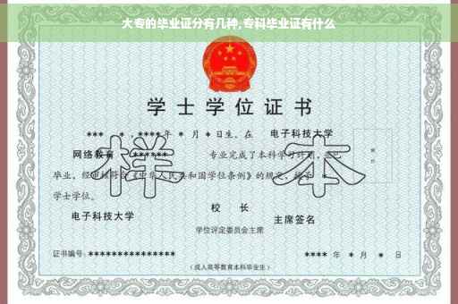 大专的毕业证分有几种,专科毕业证有什么