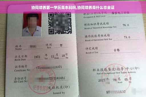 协同培养第一学历是本科吗,协同培养是什么毕业证