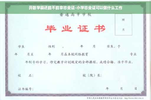 开除学籍还能不能拿毕业证-小学毕业证可以做什么工作