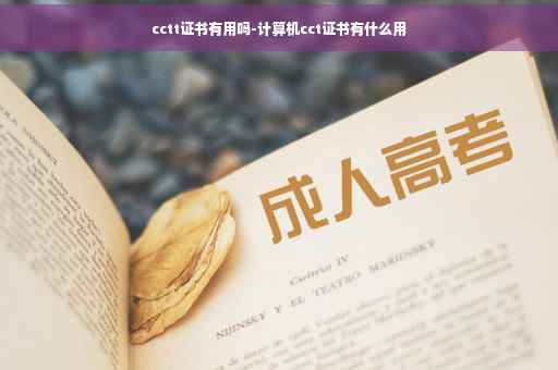cctt证书有用吗-计算机cct证书有什么用