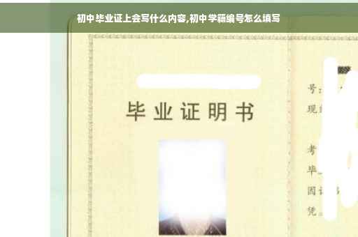 初中毕业证上会写什么内容,初中学籍编号怎么填写