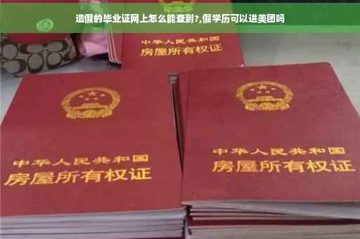 造假的毕业证网上怎么能查到?,假学历可以进美团吗