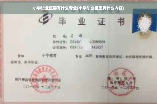 小学毕业证要写什么专业(小学毕业证里有什么内容)