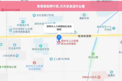 冬雪杏品种介绍,川大毕业证什么梗