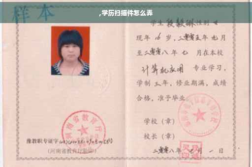 ,学历扫描件怎么弄