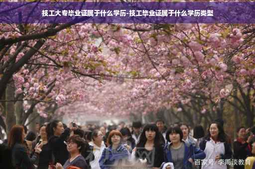 技工大专毕业证属于什么学历-技工毕业证属于什么学历类型