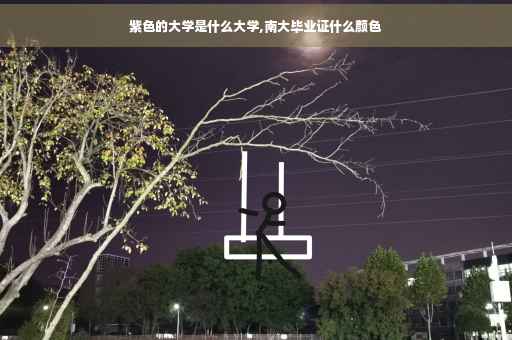 紫色的大学是什么大学,南大毕业证什么颜色