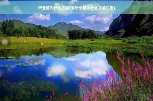 毕业证为什么会被扣(毕业证为什么会被扣押)