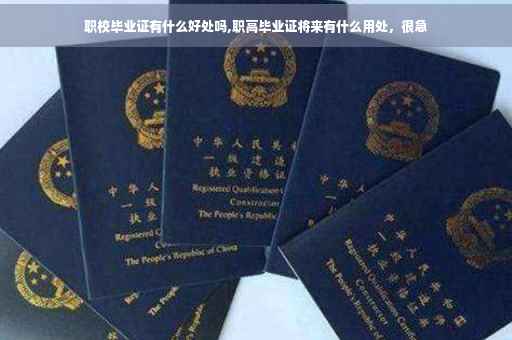 职校毕业证有什么好处吗,职高毕业证将来有什么用处，很急
