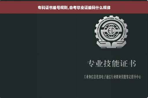 专科证书编号规则,自考毕业证编码什么规律